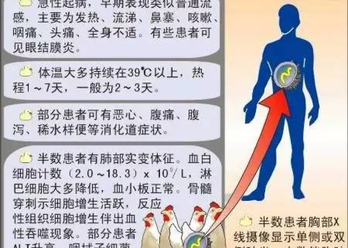 禽流感疫情最新官方消息（禽流感疫情最新官方消息今天）