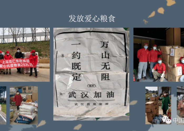 新冠疫情背景下的中国（新冠疫情背景下中国形象在国外的建构）