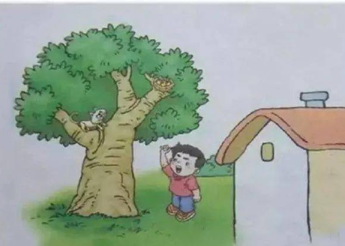 新冠疫情防控期间看图写话（看图写话新冠疫情二年级）