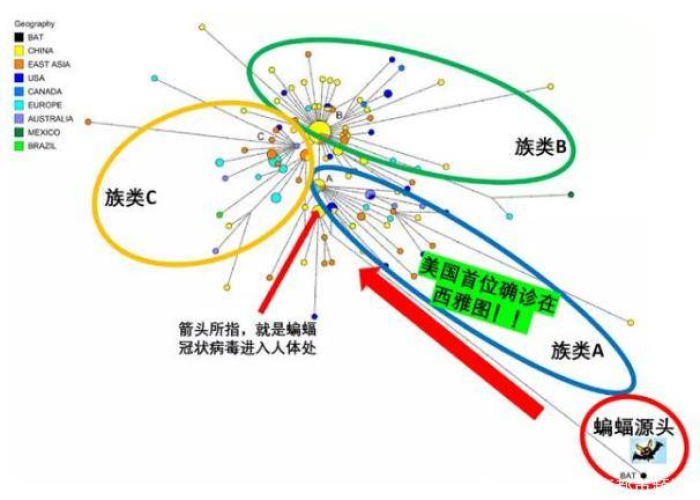 新冠疫情到底是从哪里最先出来的（新冠疫情到底来自哪里）