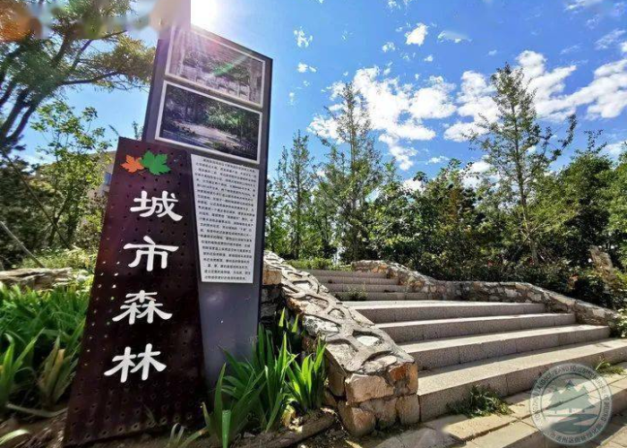 牡丹江杏树林小区一区疫情（牡丹江杏树林小区位置）