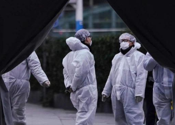 新冠疫情是什么原因引起的（新冠疫情到底怎么引起的）