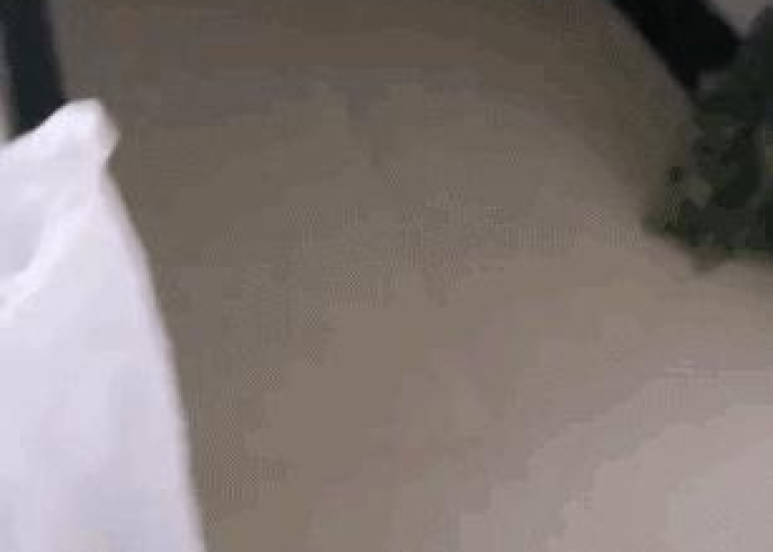 有关疫情的抖音新闻（告诉我几个关于疫情的新闻）