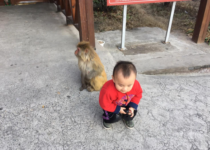有关疫情的抖音新闻（告诉我几个关于疫情的新闻）