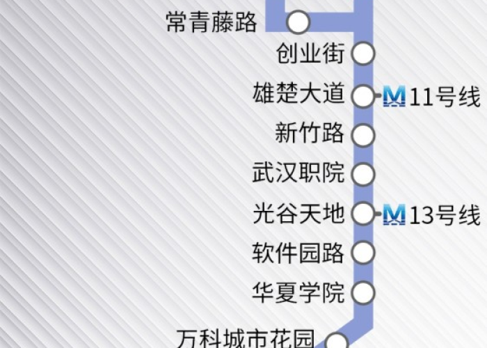 武汉疫情第一例感染者康复（武汉疫情第一例感染者康复了吗）