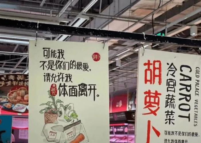 疫情过后的文案（疫情过后的文案怎么写）
