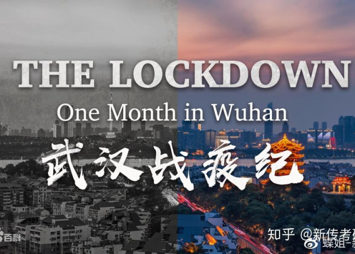 2019年疫情爆发纪录片（2019年疫情爆发纪录片视频）