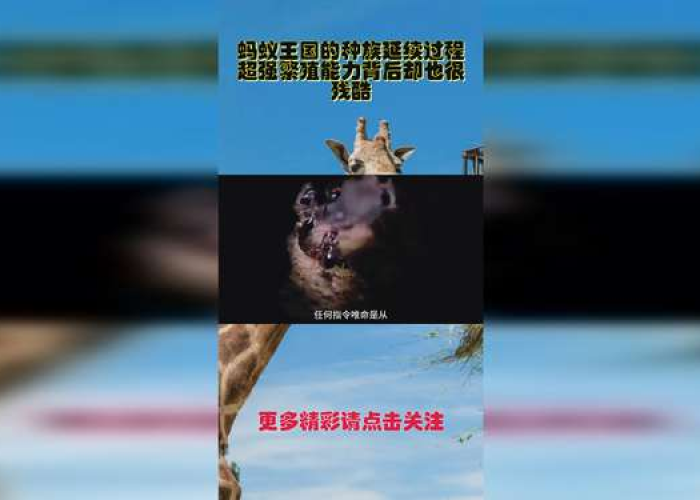 疫情背后的人性文案（疫情背后的六种人性之恶）