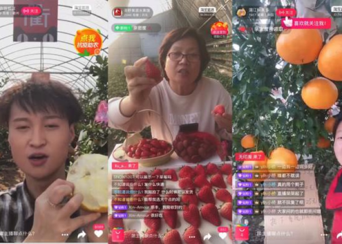 三年疫情哪些人发财了（三年疫情两年灾）