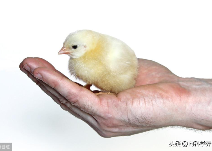 三年疫情哪些人发财了（三年疫情两年灾）