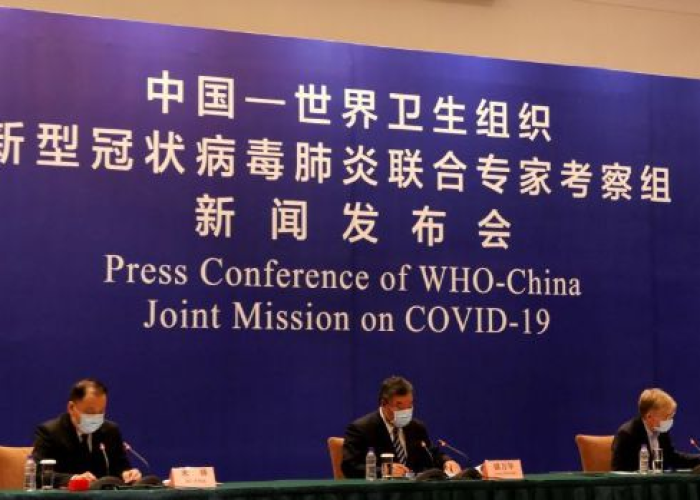 世卫组织最新消息中国疫情（世卫组织在中国调查疫情最新进展）