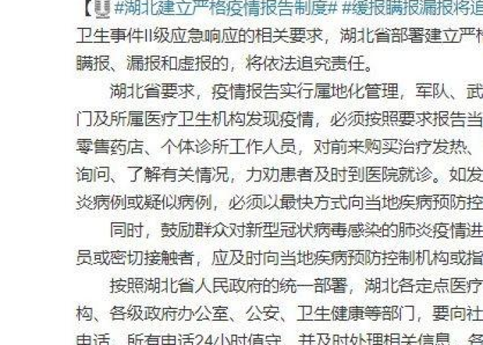 关于湖北省疫情追责名单的信息