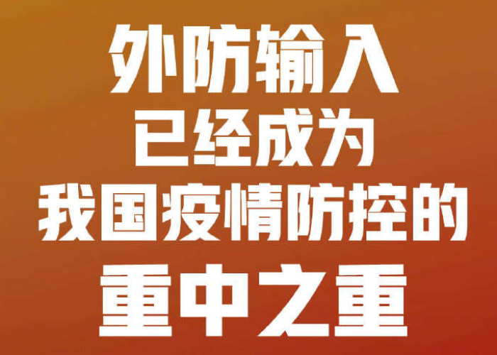 重大疫情（中国重大疫情）