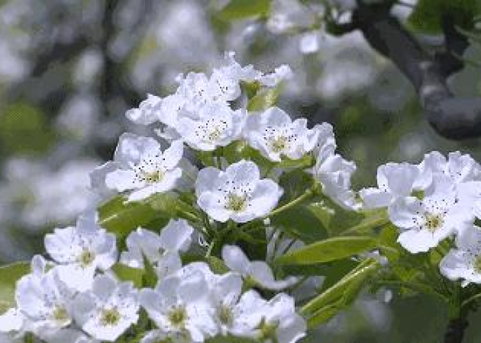 疫情什么时候结束的照片（疫情啥时候结束图片）