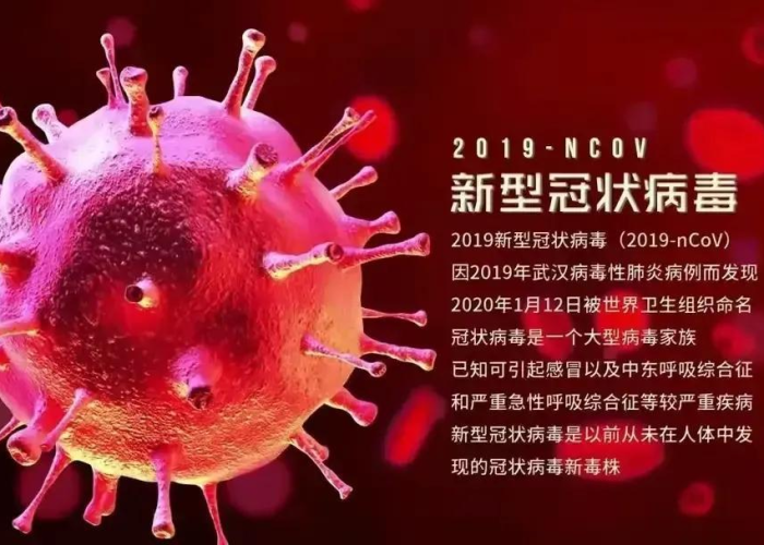 新冠疫情史料（新冠疫情历史回顾）