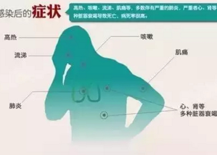 2022疫情下老百姓生存现状（疫情下的老百姓）