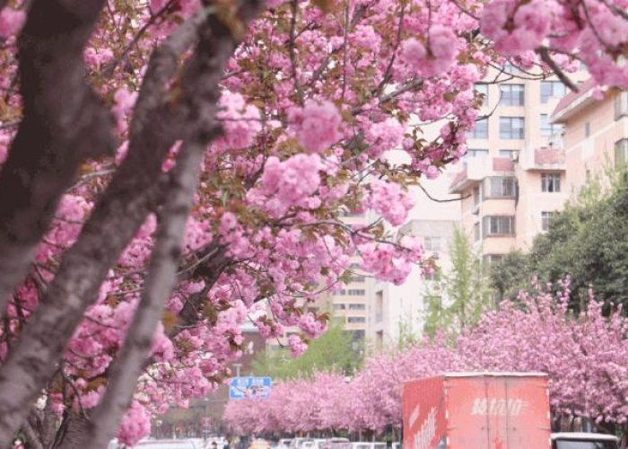 疫情什么时候彻底结束句子（疫情什么时候才能彻底结束知乎）