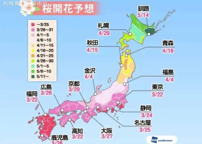 新冠疫情全国开放是哪一天（中国疫情全面开放时间）