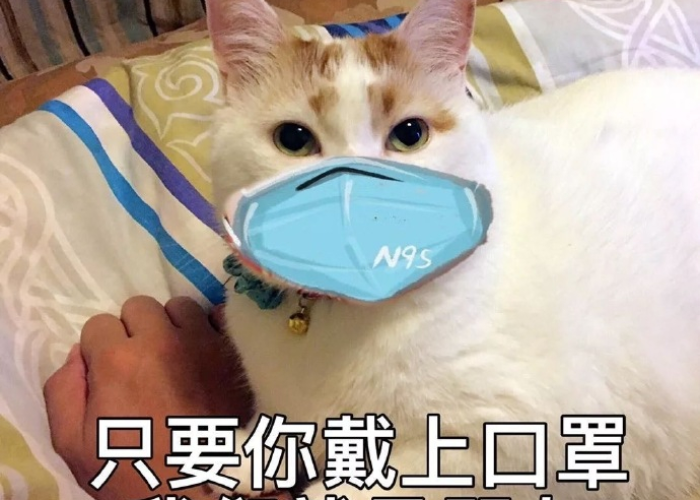 疫情口罩表情图（疫情口罩照片留念）