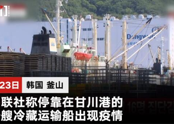 疫情放开是哪一年（疫情国家什么时候开放国门）