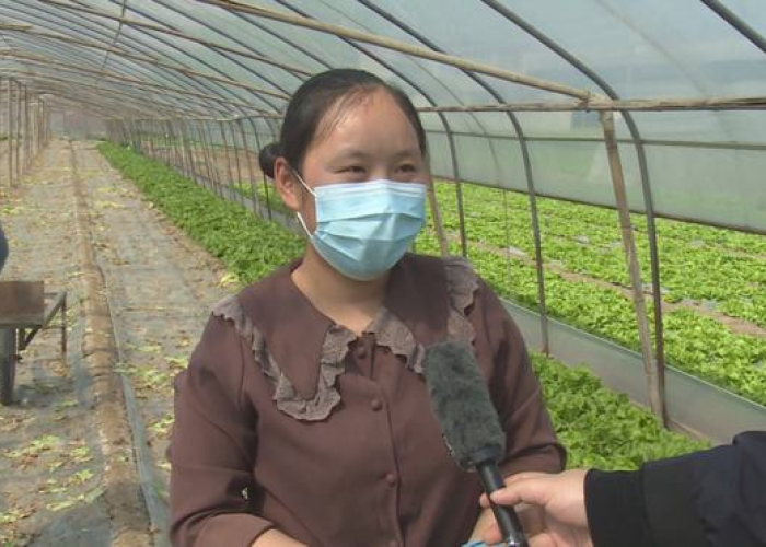 抗击疫情的感人故事真实（你知道抗击疫情的感人故事有哪些吗）