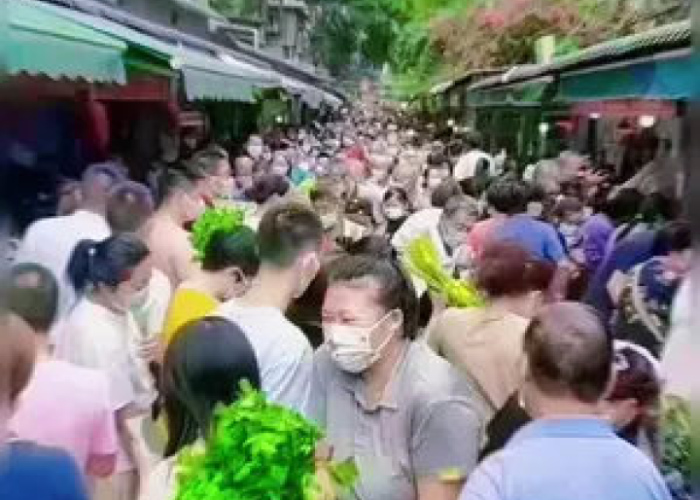 希望疫情能够早日结束（希望疫情能够早日结束的句子）