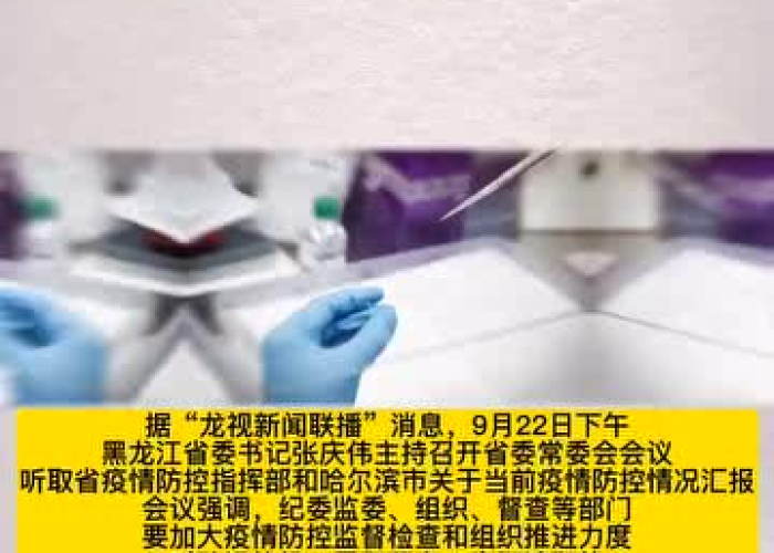 湖北疫情责任追究（湖北疫情领导处理）