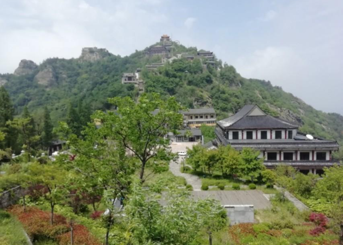 新冠疫情感动作文（新冠疫情感动的作文）