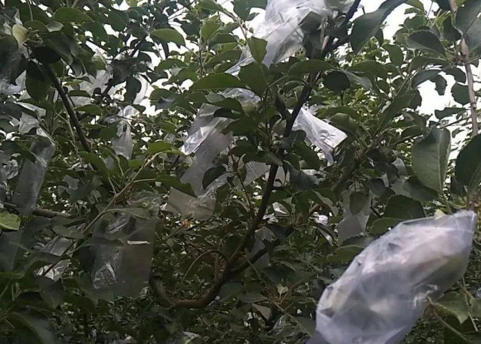 疫情期间最难忘的事情（疫情期间最难忘的事儿）