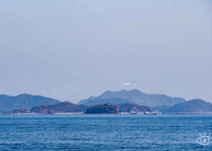 疫情结束的时间节点（疫情 结束时间）