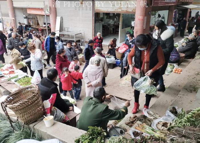 重庆疫情最新消息实时数据图表（重庆疫情最新数据消息行动轨迹）