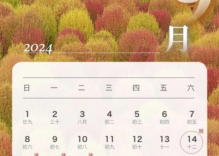 2024年有疫情了吗（2024年有疫情吗视频）