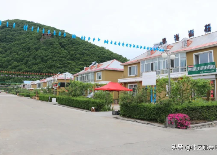 新冠疫情为什么消失了（这波新冠疫情为什么不衰减?）