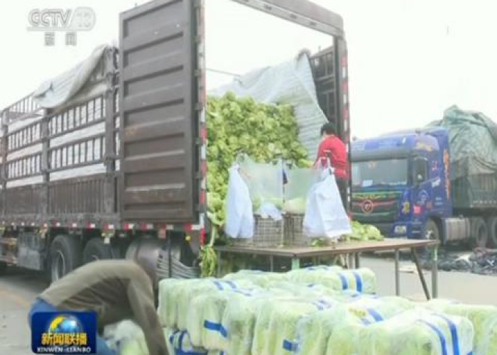 疫情期间增值税减免政策（疫情期间增值税减免政策 1%到什么时候）