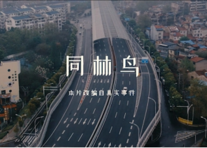 武汉市疫情（武汉市役情）