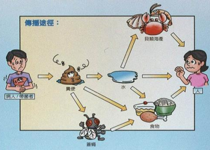 上海吃毛蚶引发疫情（上海 毛蚶）