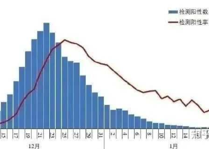 现在疫情放开多久达到高峰期（疫情什么时候开放国门）