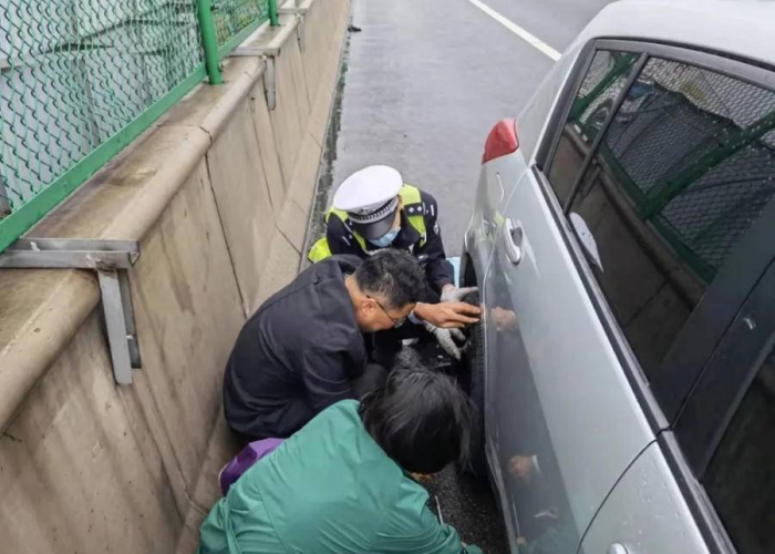 疫情期间高速免费到几月份（疫情期间高速公路免费到什么时候结束）