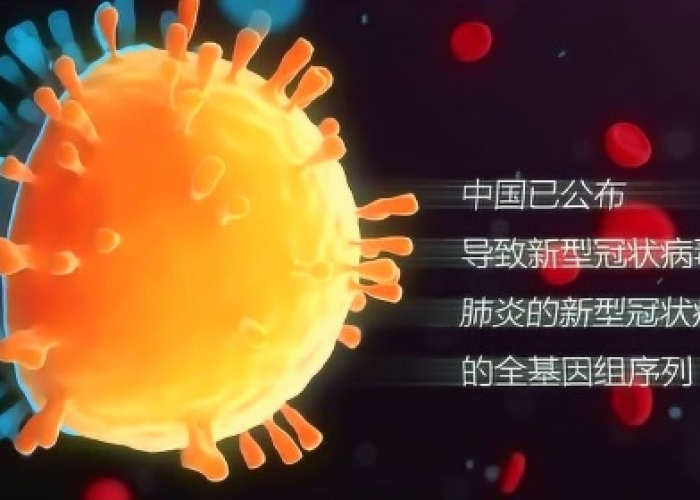 19年新冠疫情开始的视频（新冠疫情回顾视频）