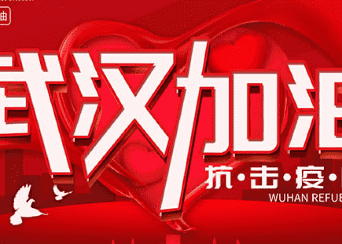 疫情感想800字（疫情感想八百字）