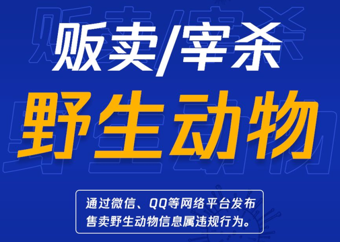 疫情需要什么我们就做什么（疫情我们需要做到哪几点）