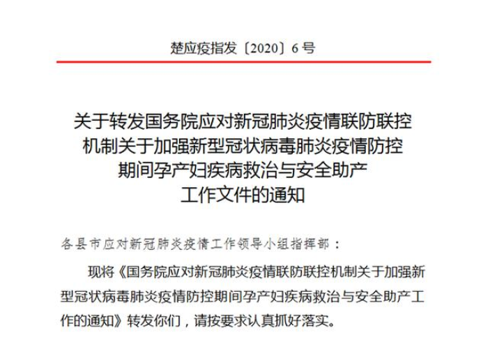 疫情期间红头停工文件（疫情停工文件通知）
