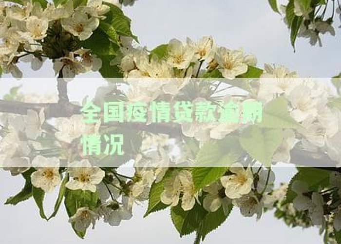 疫情几年多少人负债（疫情使多少人负债）