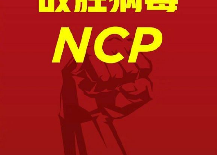 新冠疫情英文ppt（新冠疫情英文名）