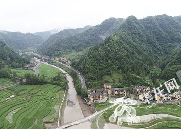 重庆疫情源头解说（重庆 疫情 溯源）