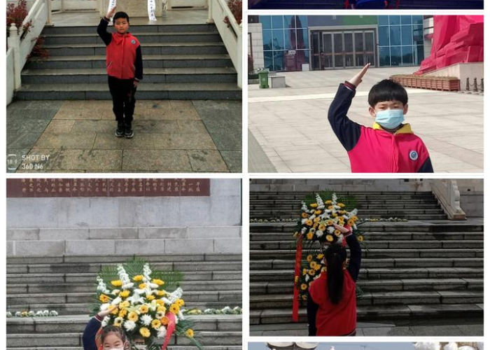 疫情是什么来历（疫情是什么来的?）