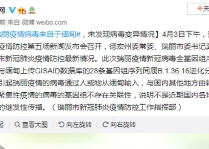 疫情起源到底是什么（疫情起源于哪里?）