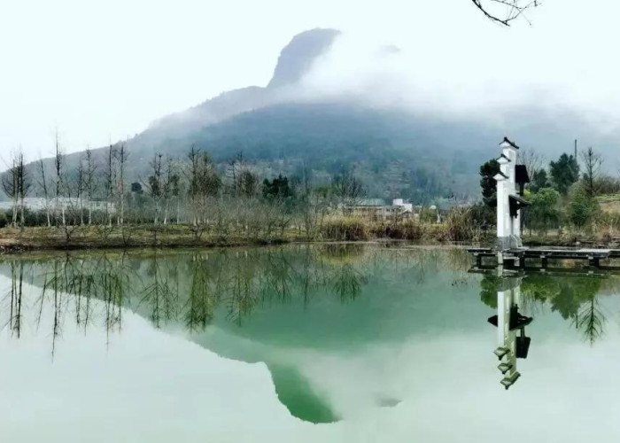 人生短短几年疫情就过去了4年（疫情得几年能过去）