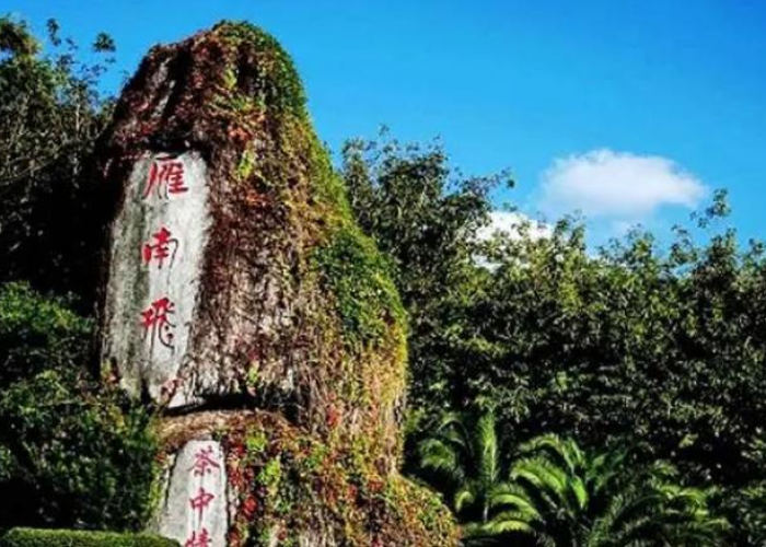 广州疫情最新消息白云（广州白云疫情最新分布）