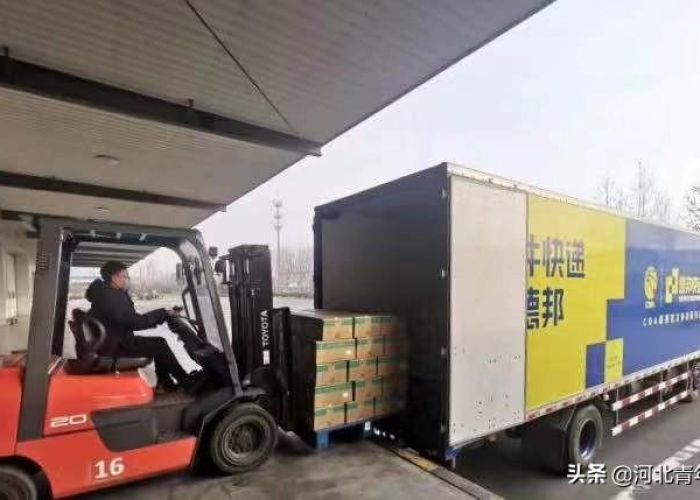 兰州工商学院抗击疫情照片（兰州工商学院图标）
